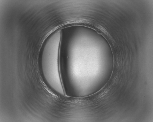 X0000057040834200509090814