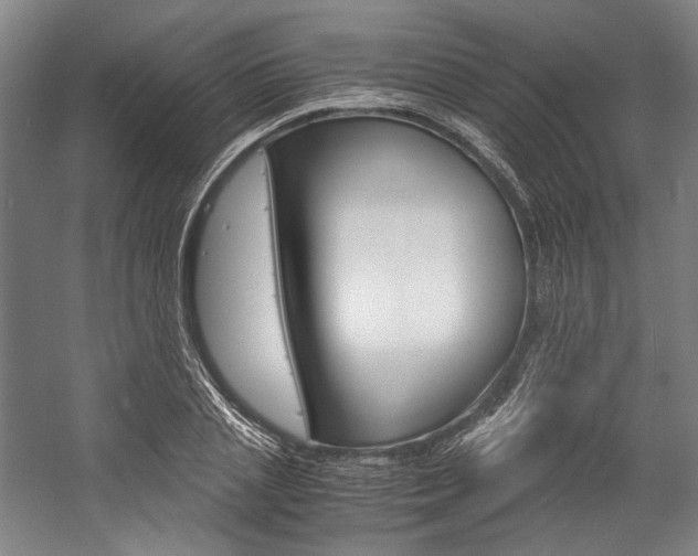X0000057040837200509090814