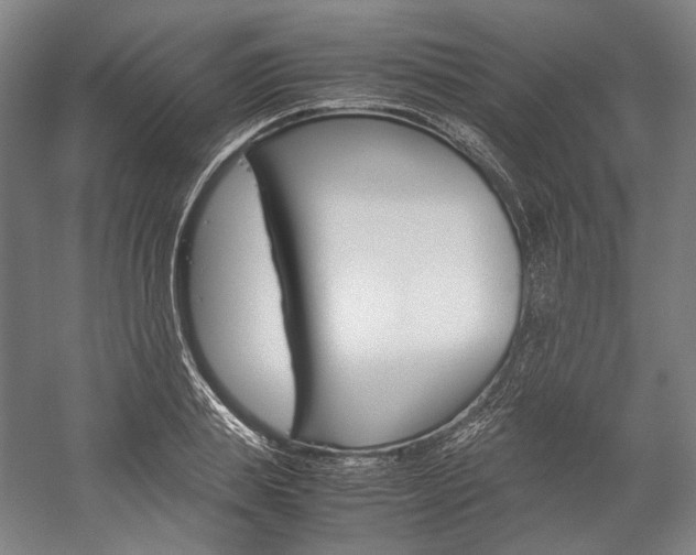 X0000057040839200509090814