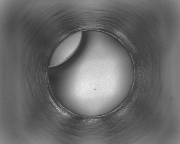 X0000057040841200509090814