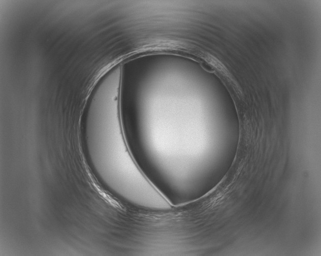 X0000057040842200509090814