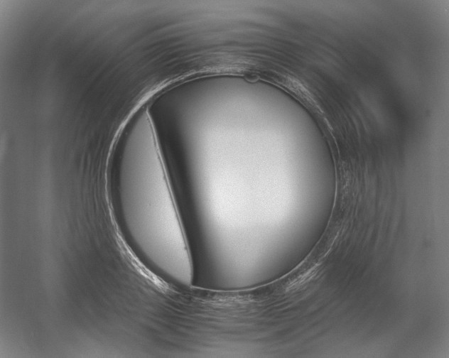 X0000057040843200509090814
