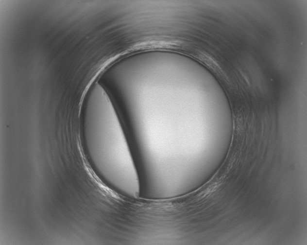 X0000057040844200509090814