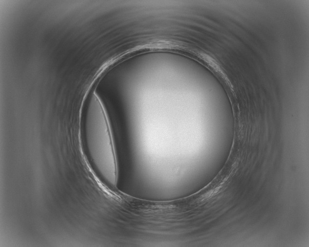X0000057040845200509090814