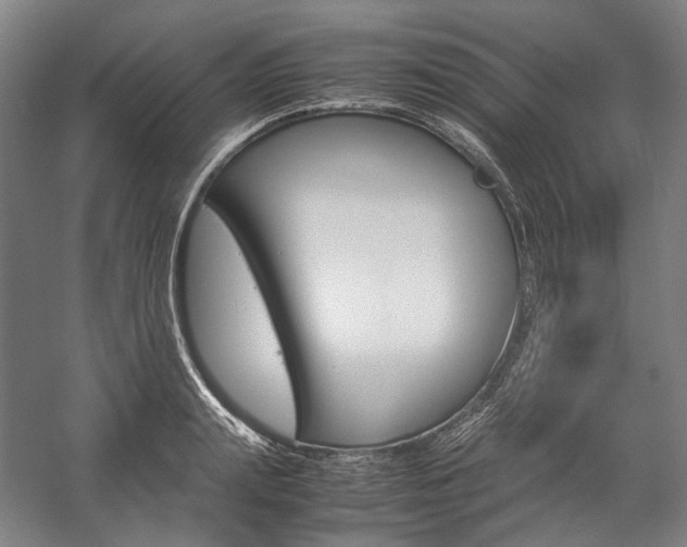 X0000057040847200509090814