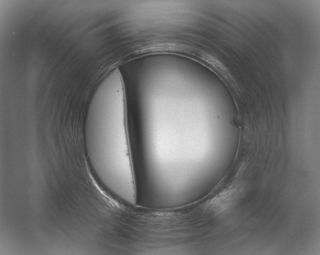 X0000057040849200509090814