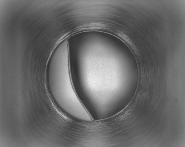 X0000057040850200509090814