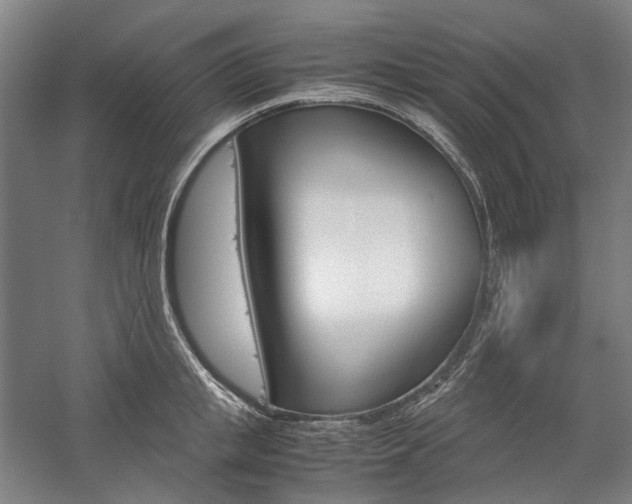 X0000057040853200509090814