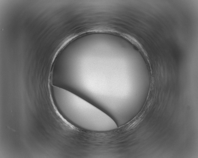 X0000057040855200509090814