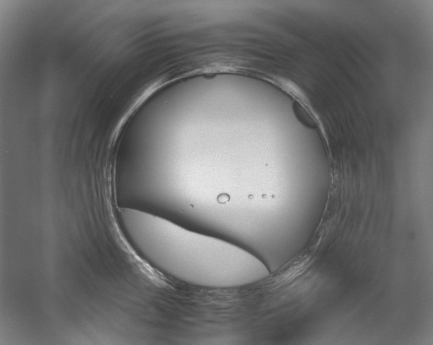 X0000057040859200509090814