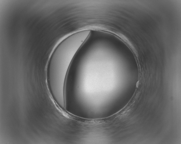 X0000057040862200509090814