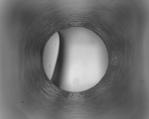 X0000057040866200509090814