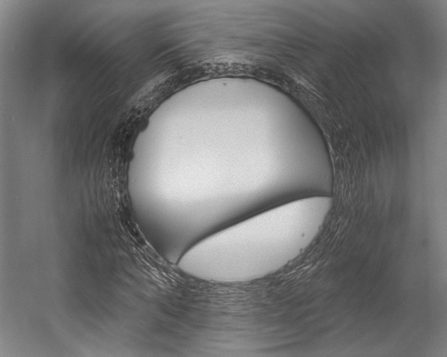 X0000057040870200509090814