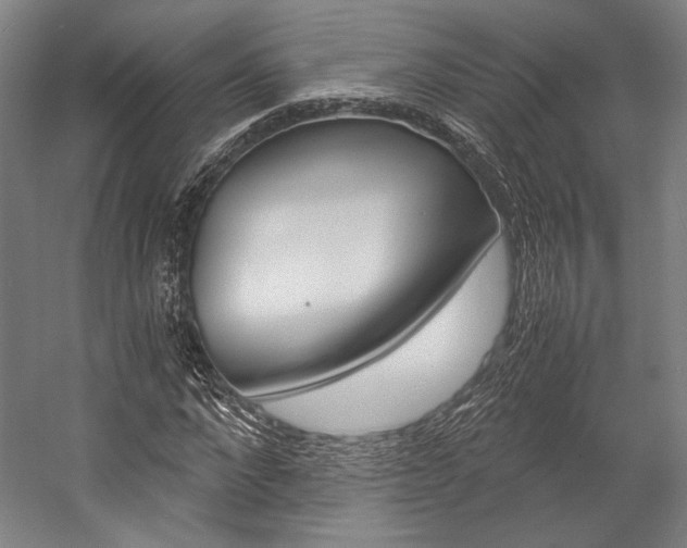 X0000057040872200509090814