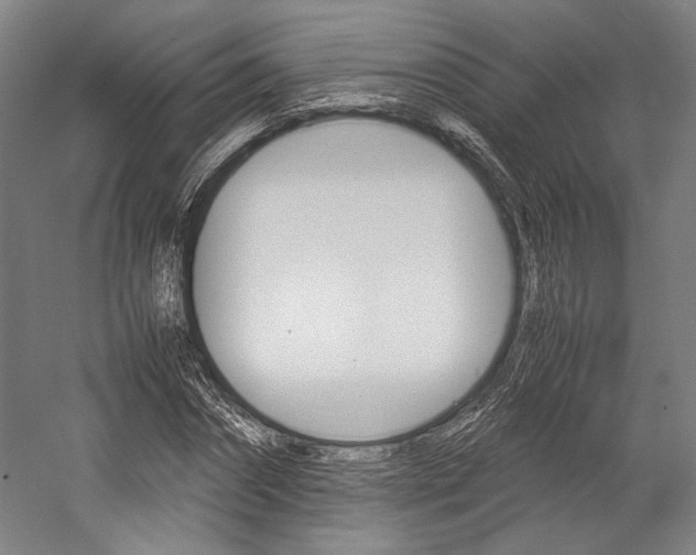 X0000057040874200509090814