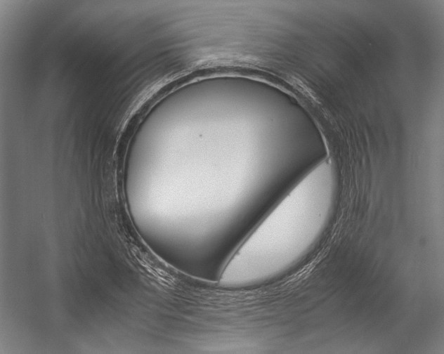X0000057040877200509090813