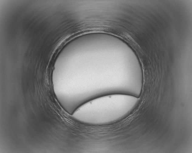 X0000057040883200509090813