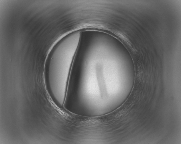 X0000057040888200509090813
