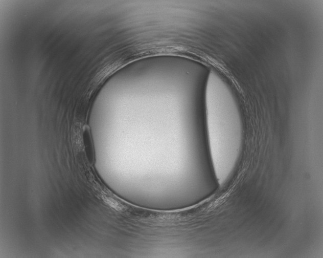 X0000057040889200509090813