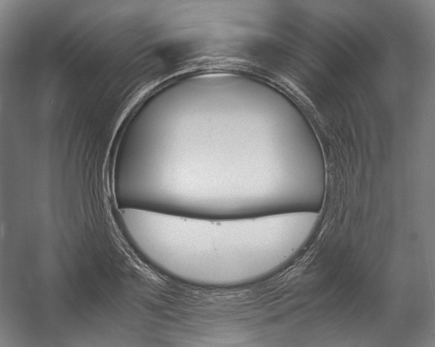 X0000057040891200509090813