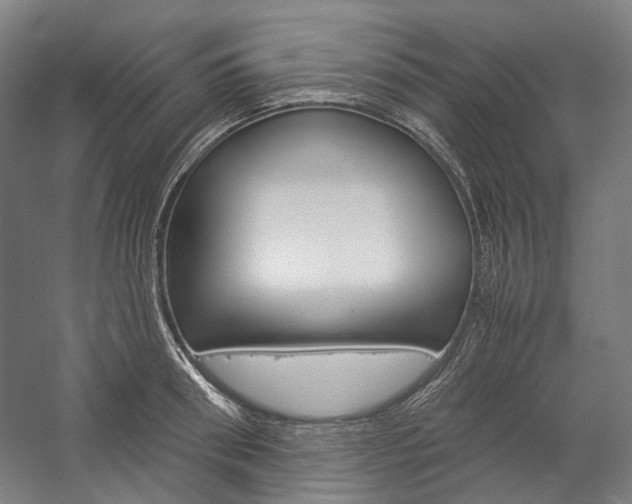 X0000057040898200509090813
