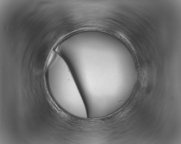 X0000057040899200509090813