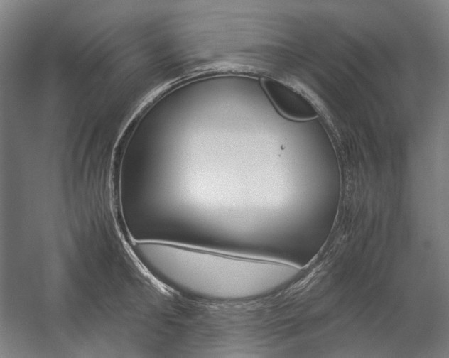 X0000057040902200509090813