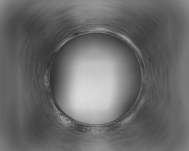 X0000057040905200509090813