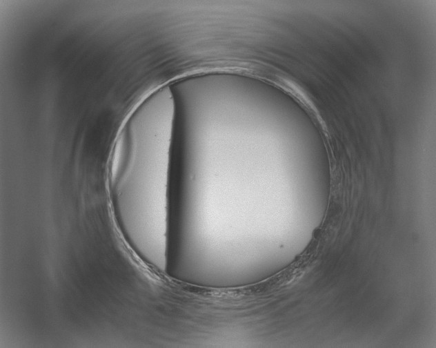X0000057040907200509090813