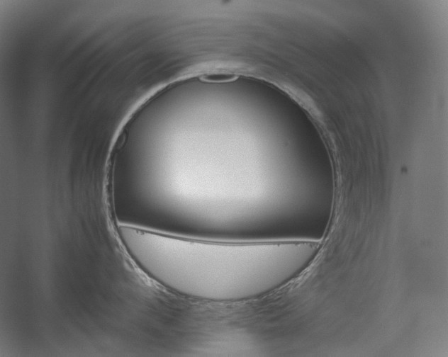 X0000057040912200509090813