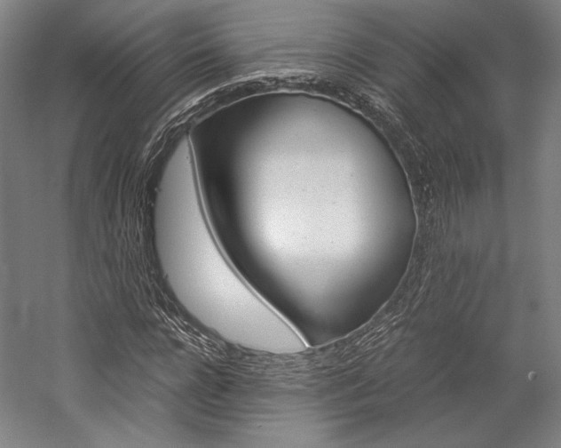 X0000057040920200509090812