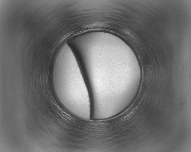 X0000057040921200509090812