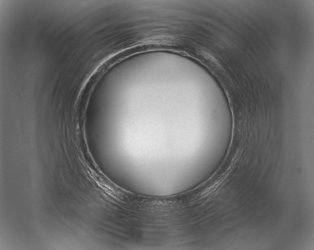 X0000057040923200509090812