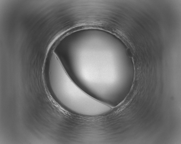 X0000057040928200509090812