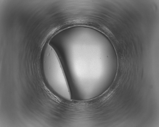 X0000057040930200509090812