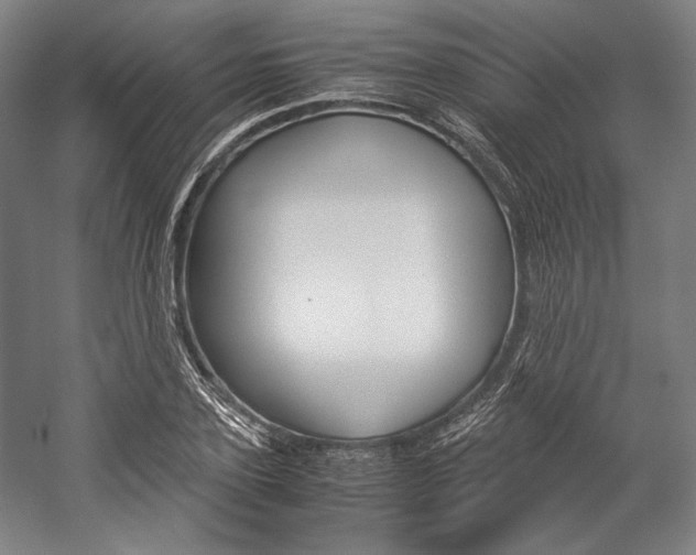 X0000057040931200509090812