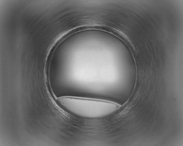 X0000057040935200509090812