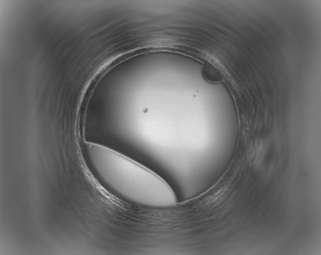 X0000057040939200509090812