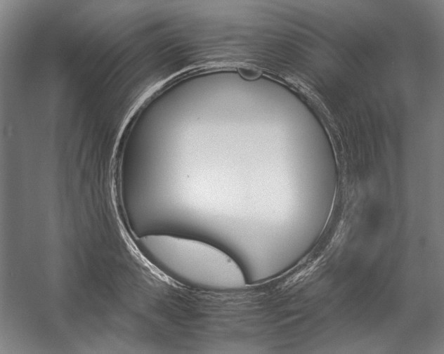 X0000057040941200509090813