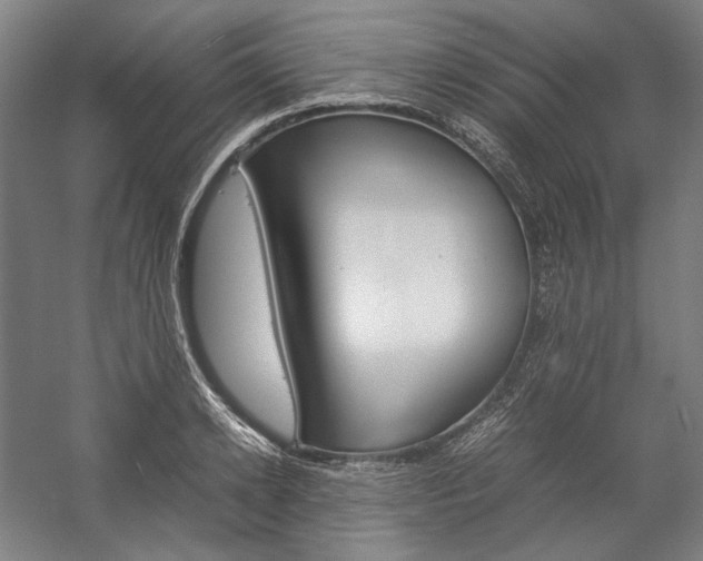 X0000057040942200509090813