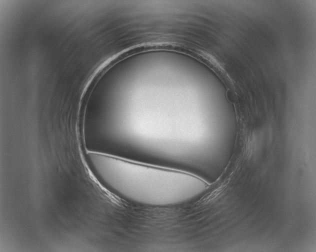 X0000057040943200509090813