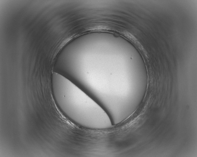 X0000057040945200509090813