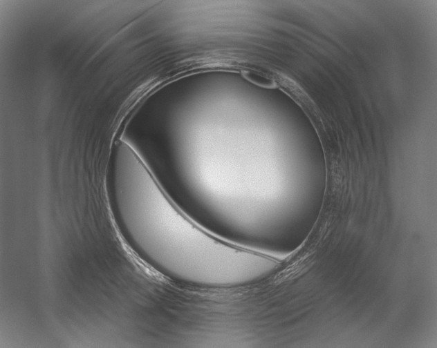 X0000057040946200509090813
