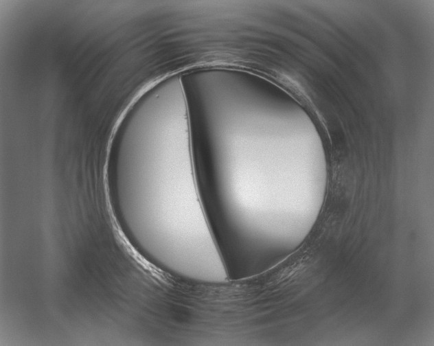 X0000057040947200509090813
