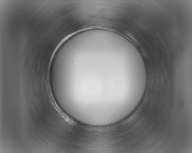 X0000057040948200509090813