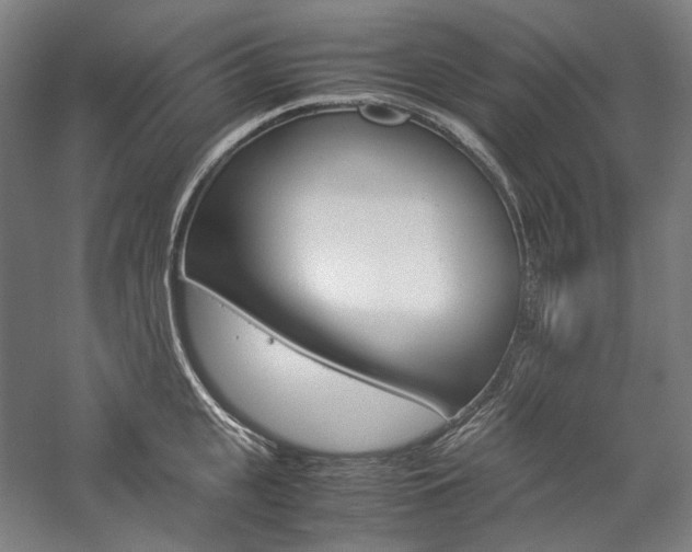 X0000057040951200509090813