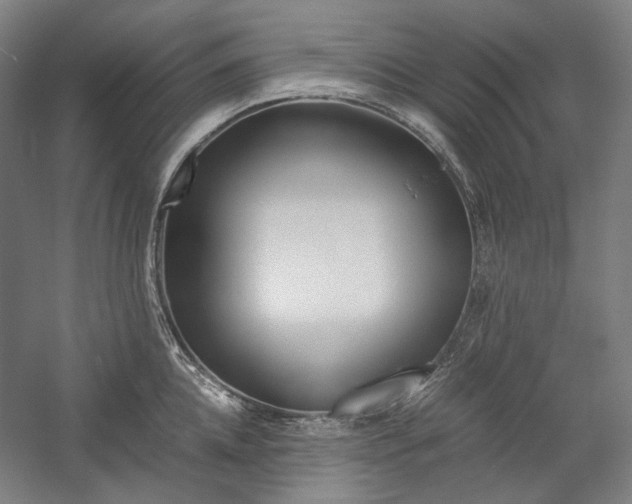 X0000057040952200509090813