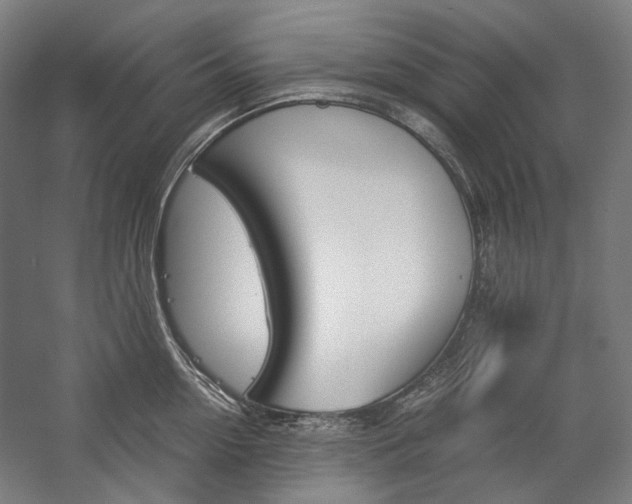 X0000057040954200509090813