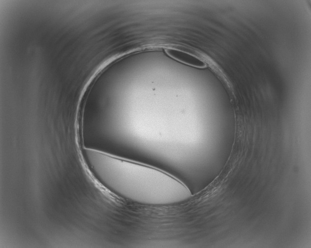 X0000057040955200509090813