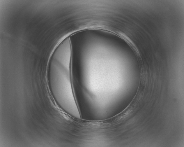 X0000057040956200509090813